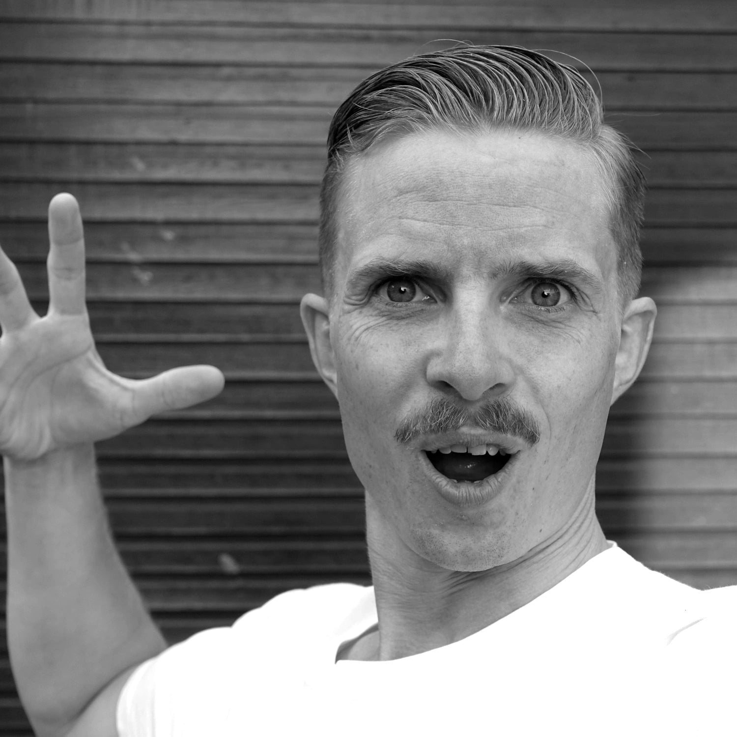 mrmossevig