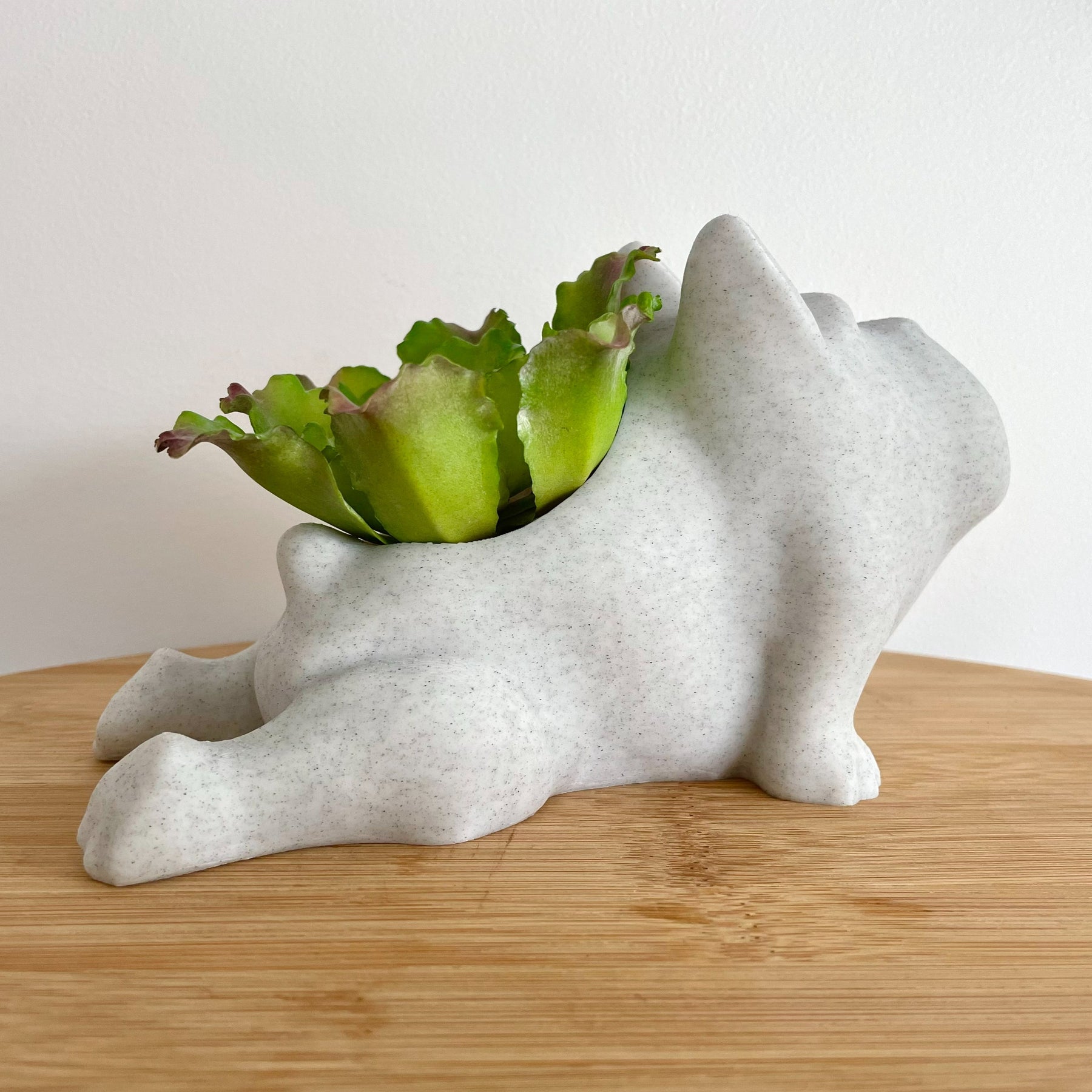 Dog Yoga Planter