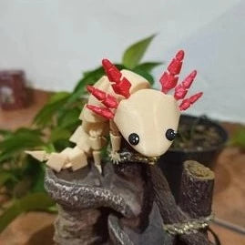 Flexible Axolotl