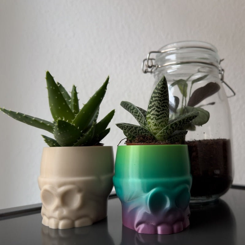 Stylized Skull Pot - Basic