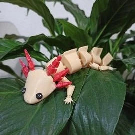 Flexible Axolotl