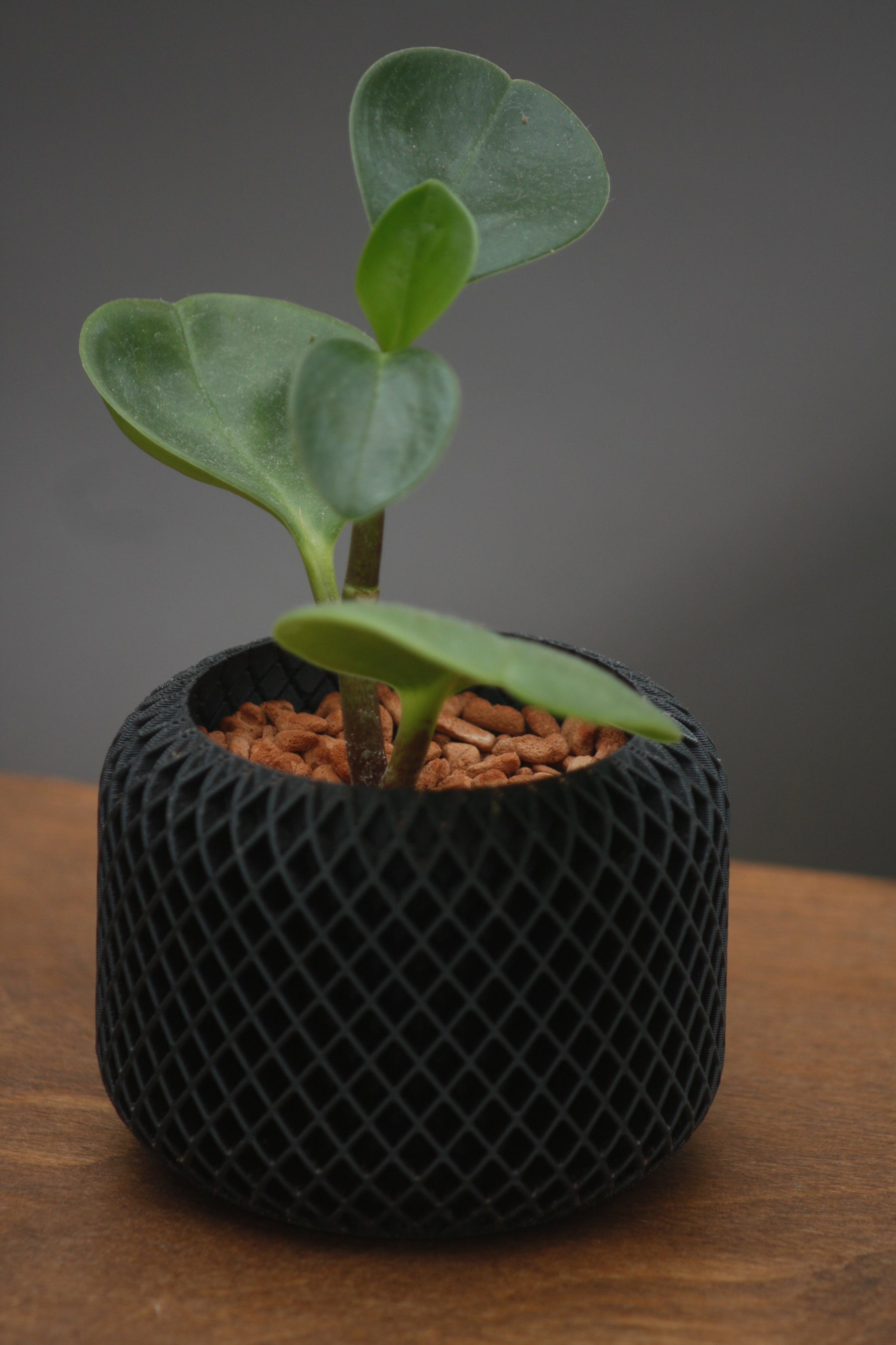 Small Geometric Planter