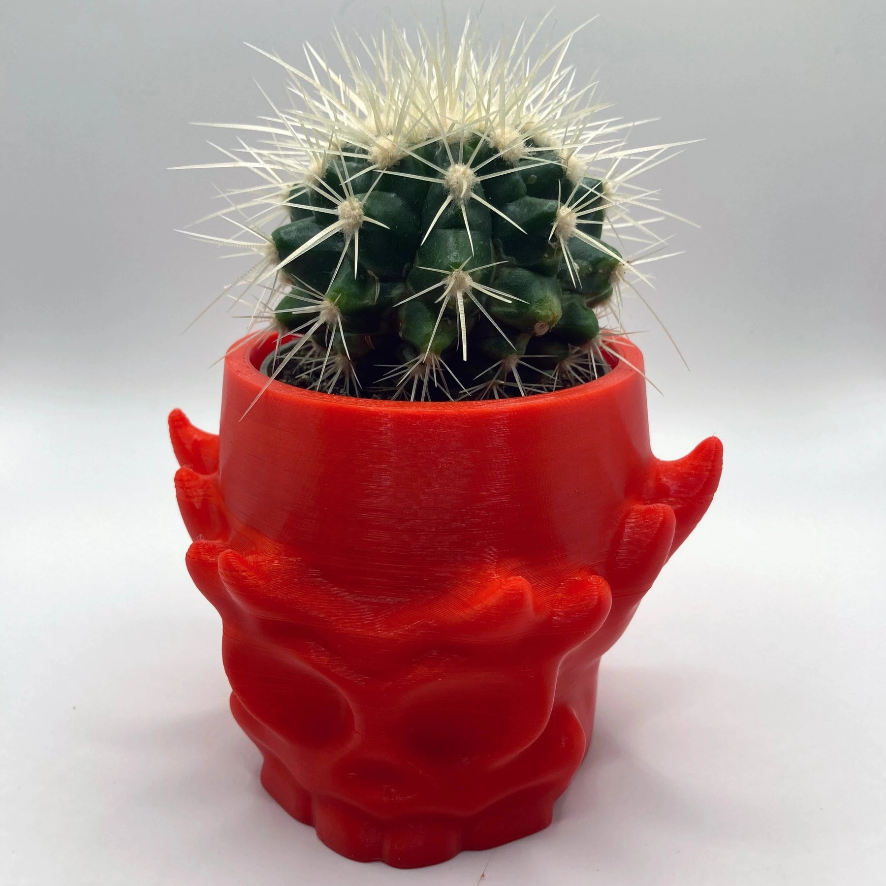 Stylized Skull Pot - Spike