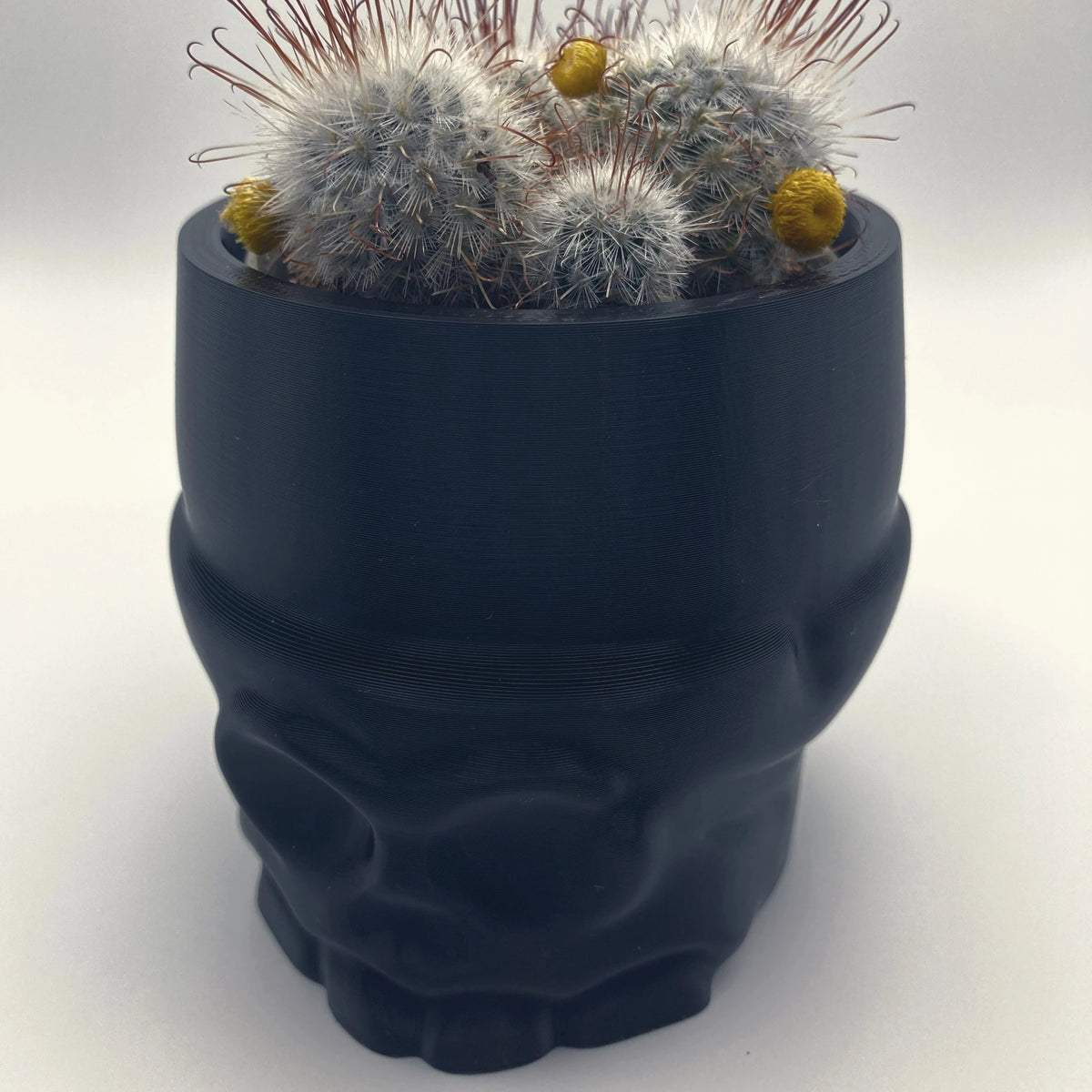 Stylized Skull Pot - Basic