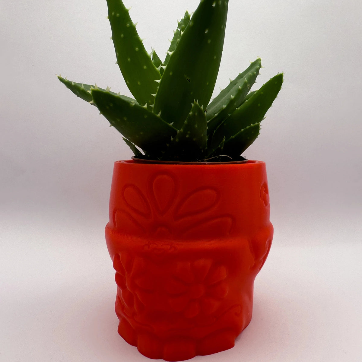 Stylized Skull Pot - Flower