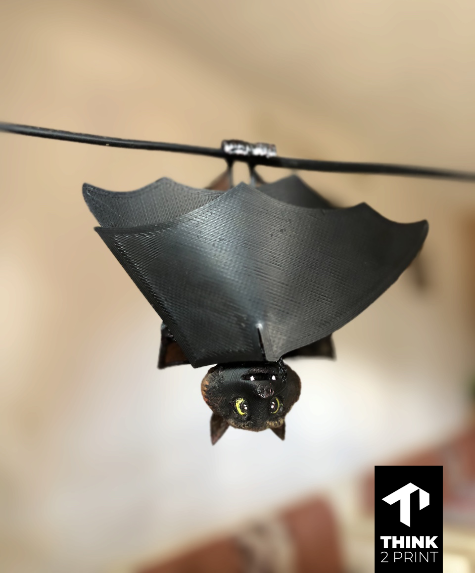 Flexi Bat Toy