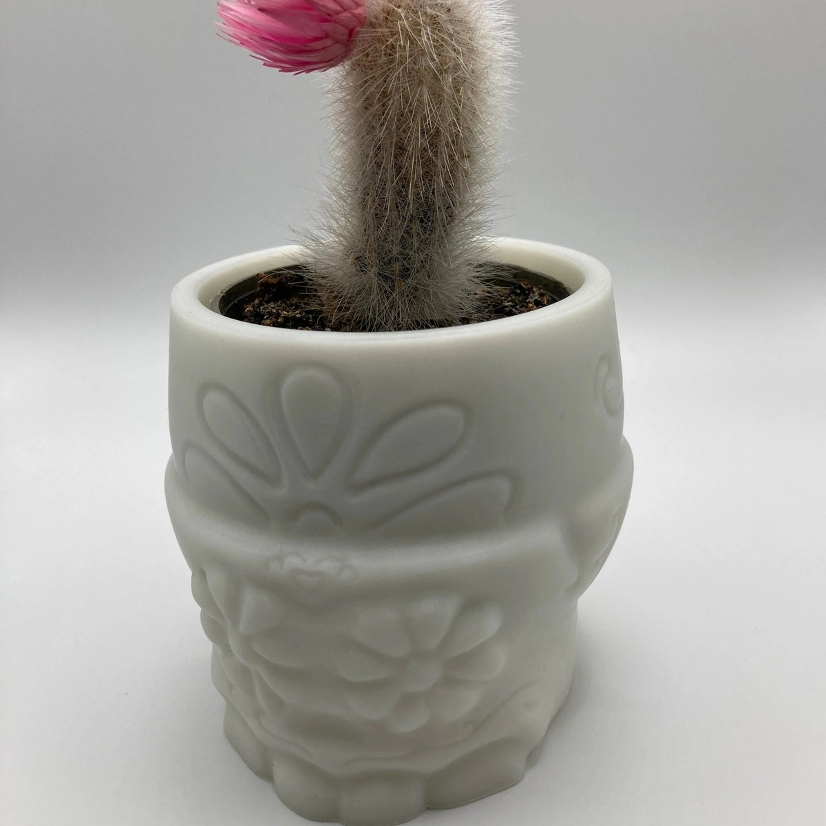 Stylized Skull Pot - Flower