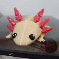 Flexible Axolotl