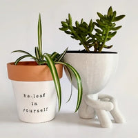 Robert Planter - Front Hands