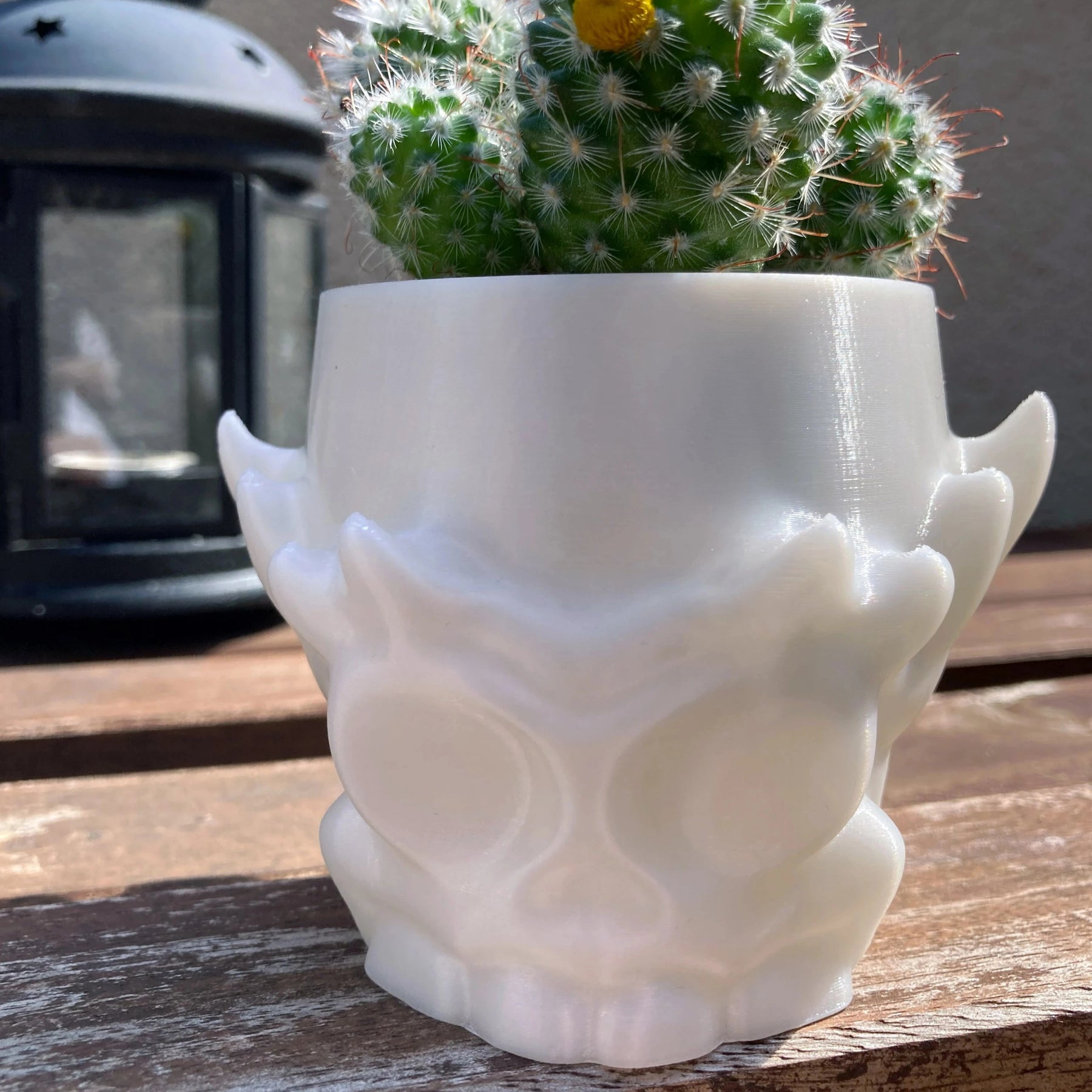 Stylized Skull Pot - Spike
