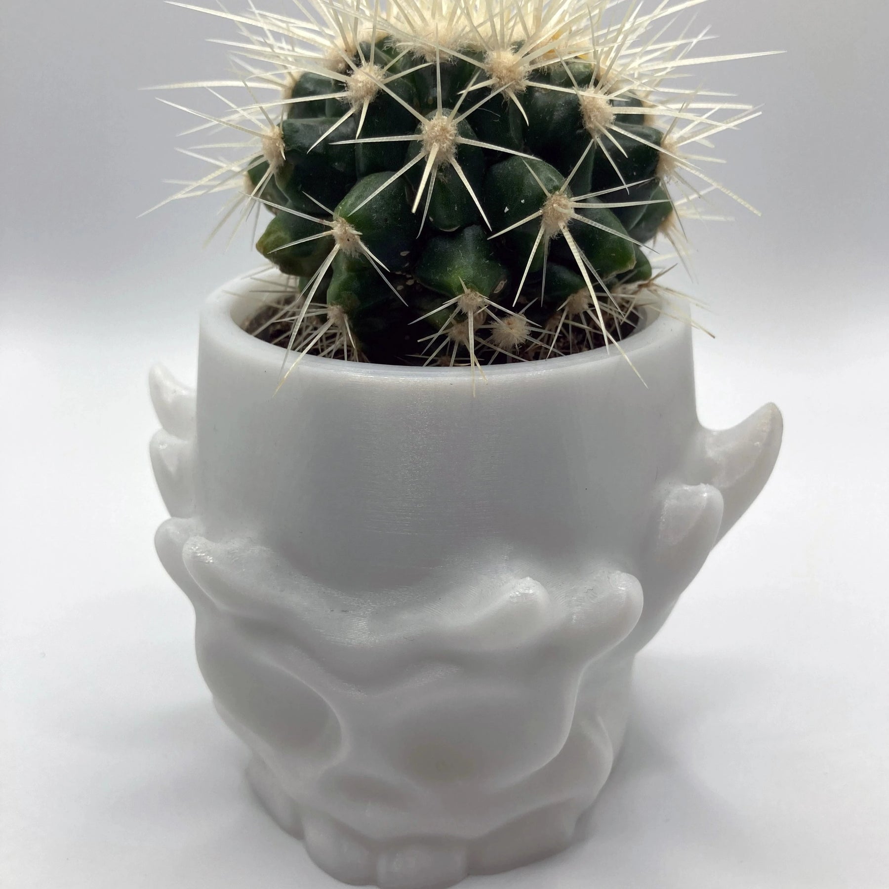 Stylized Skull Pot - Spike