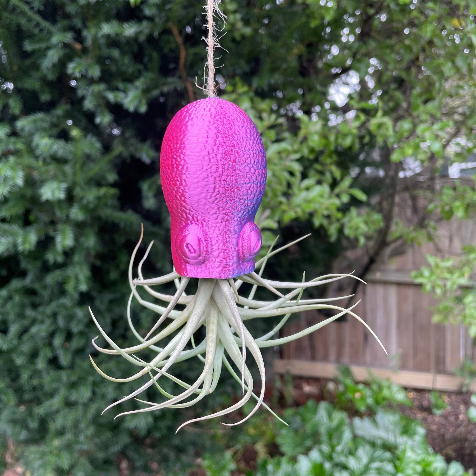 Octopus Hanging Planter for Air Plants