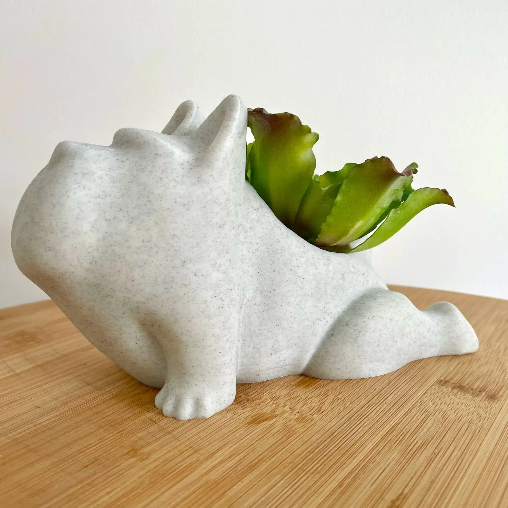 Dog Yoga Planter