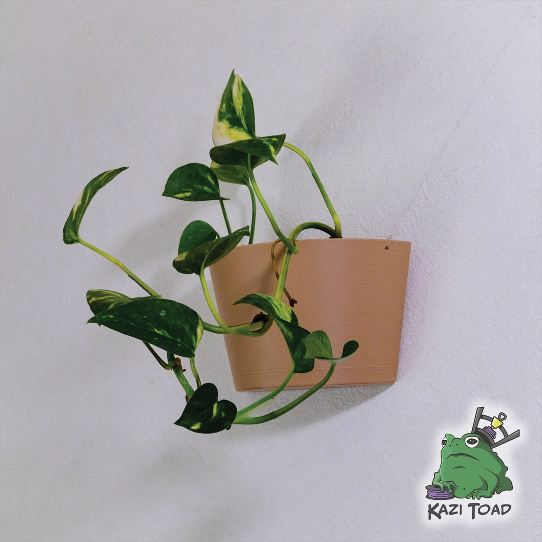 Wall Hanging Plant Pot