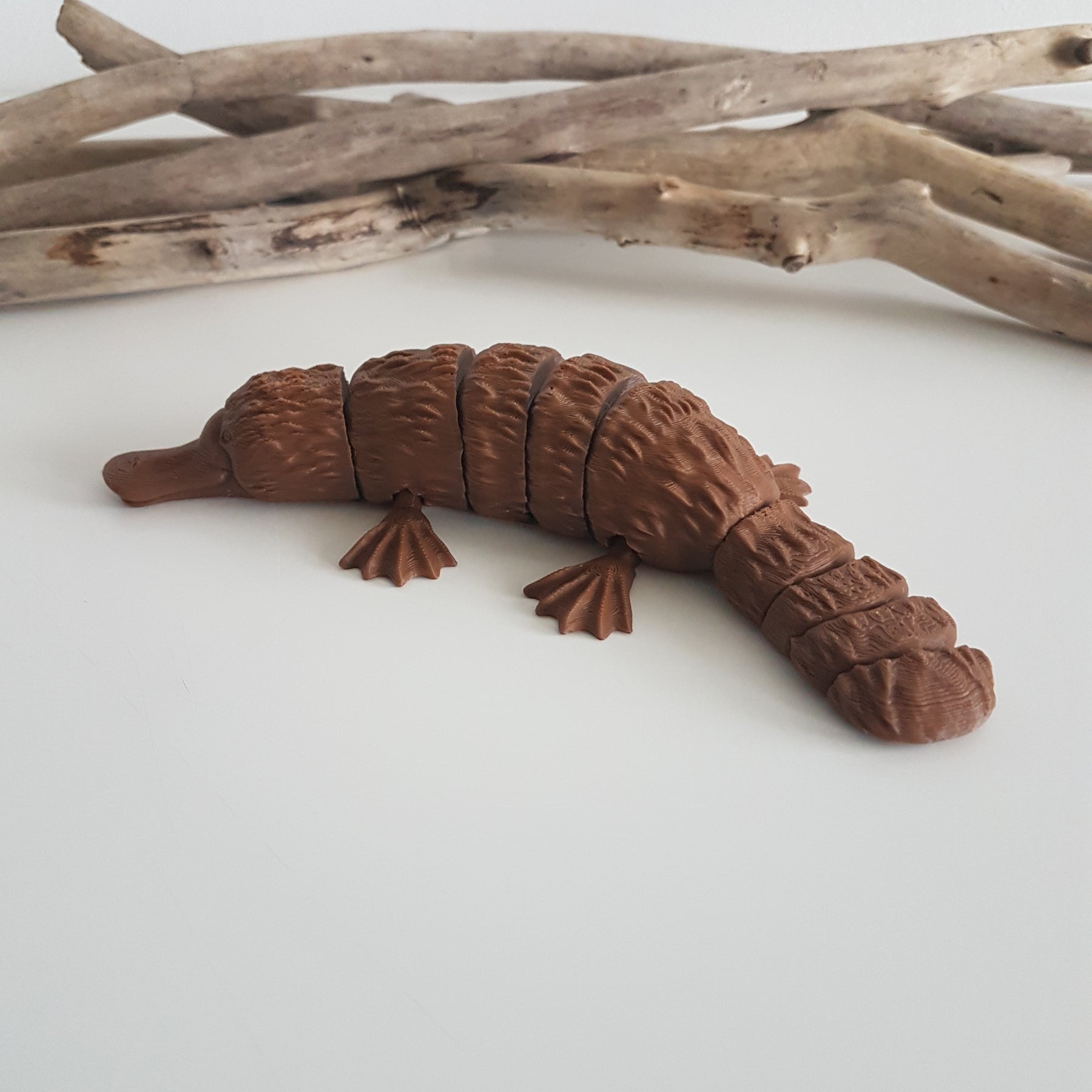 Platypus