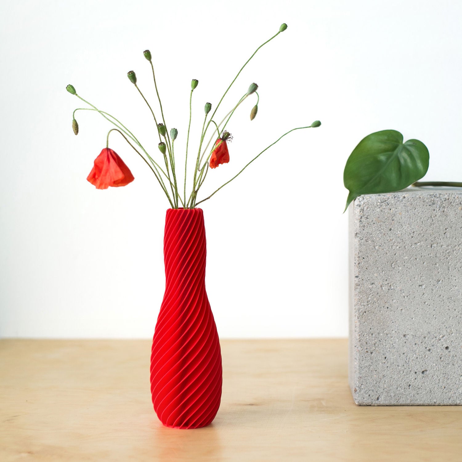 Spiral Dry Vase 03