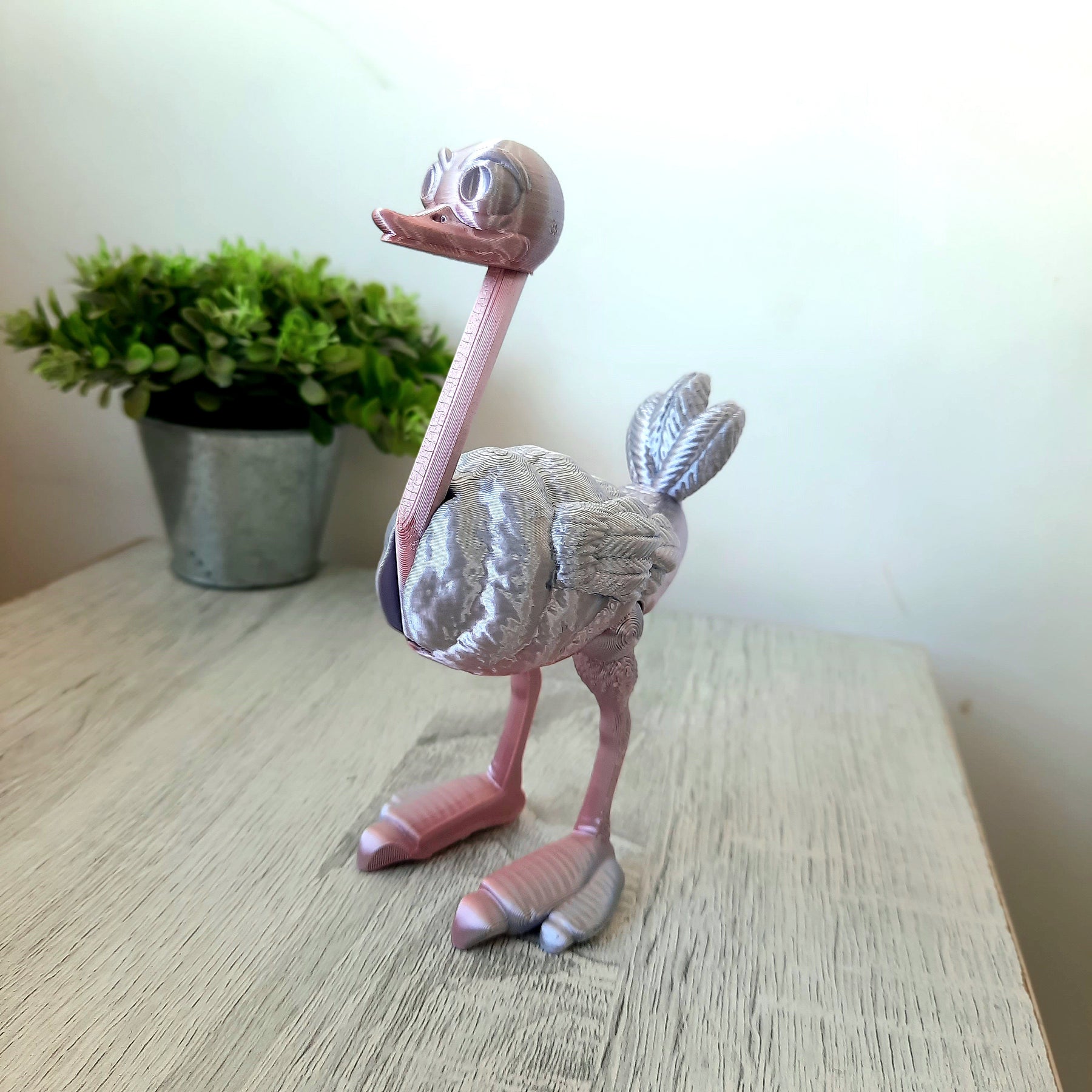 Ostrich