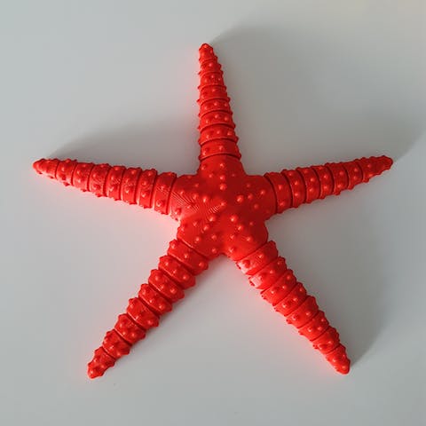 Flexible Starfish