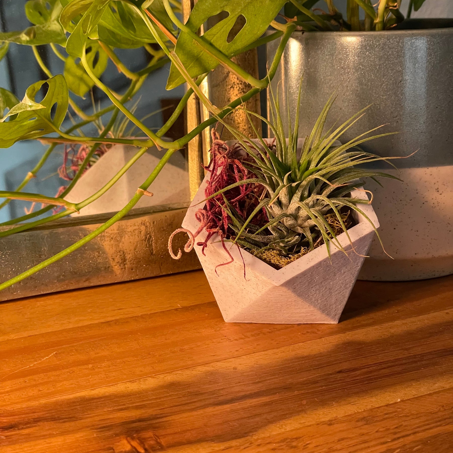 Icosahedron Planter Set
