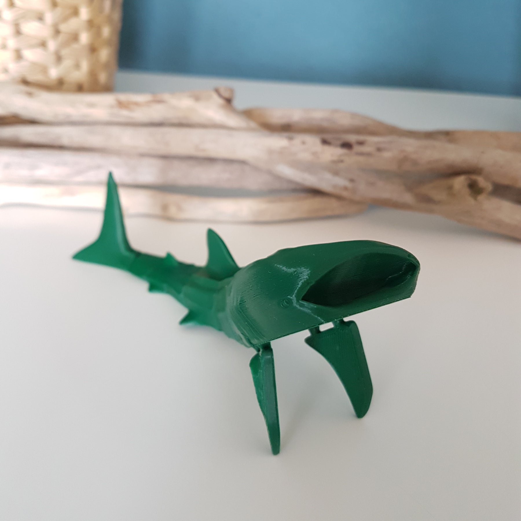 Whale Shark