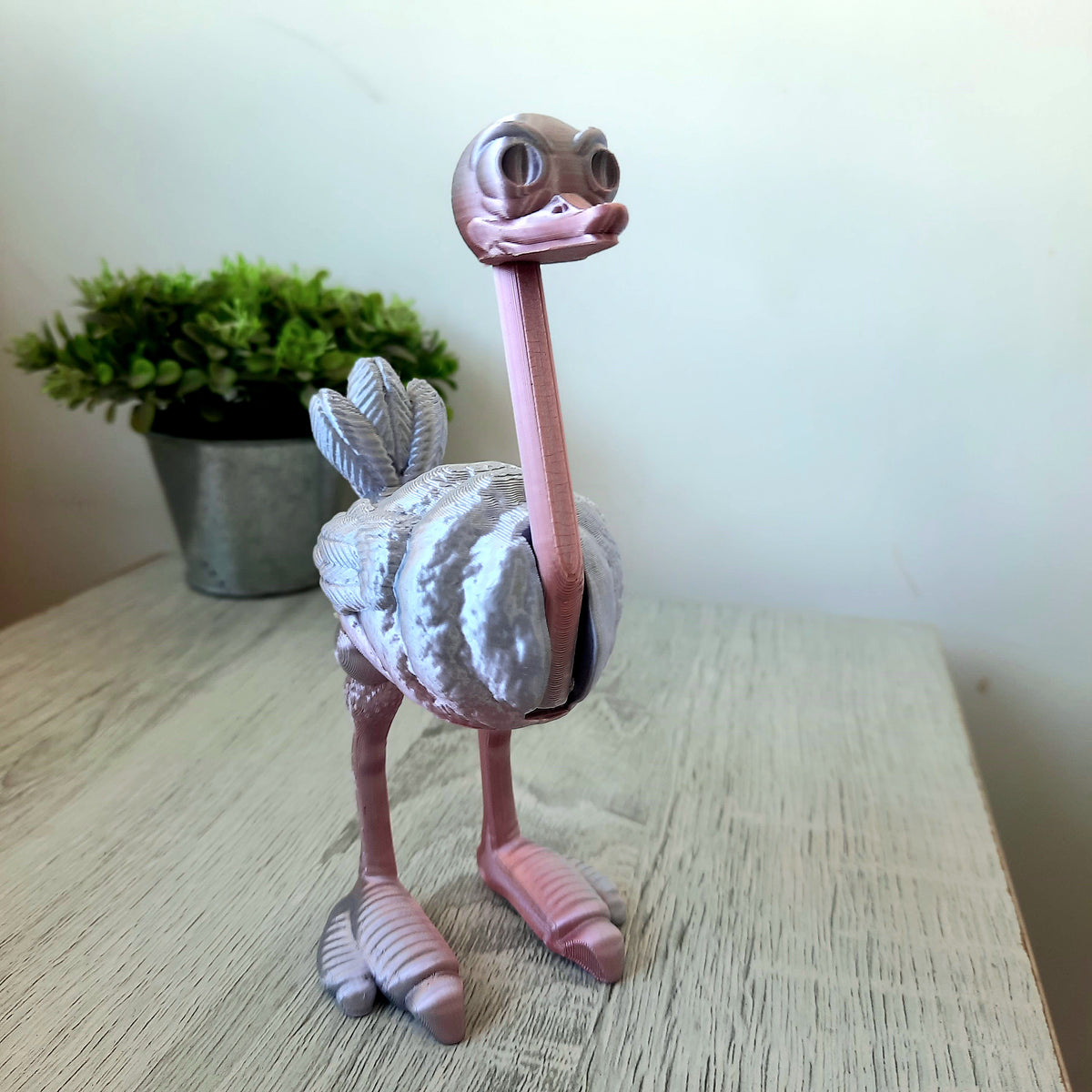 Ostrich