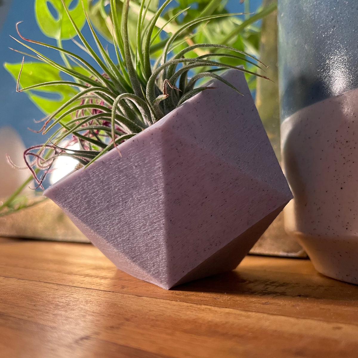 Icosahedron Planter Set