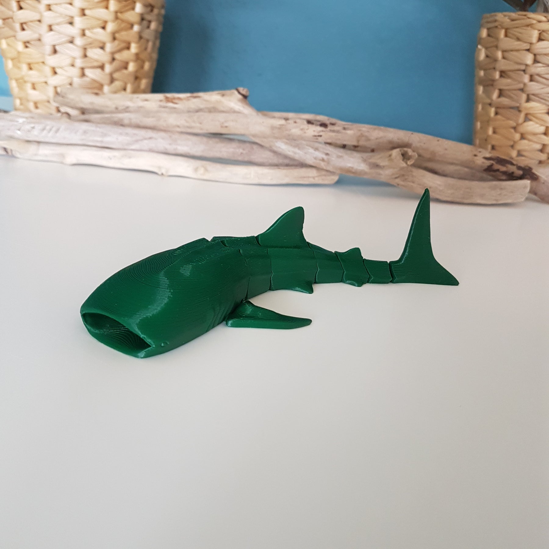Whale Shark