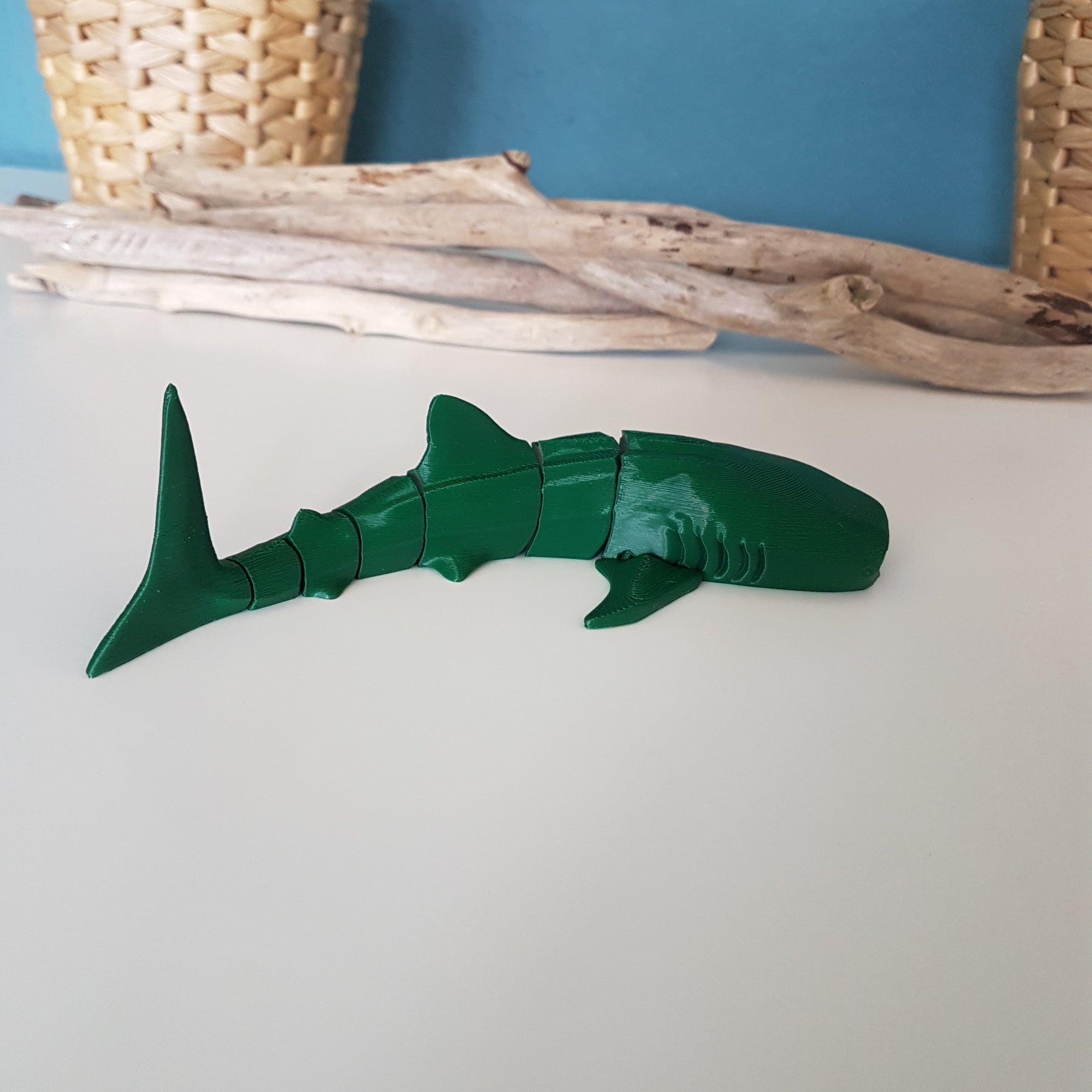 Whale Shark