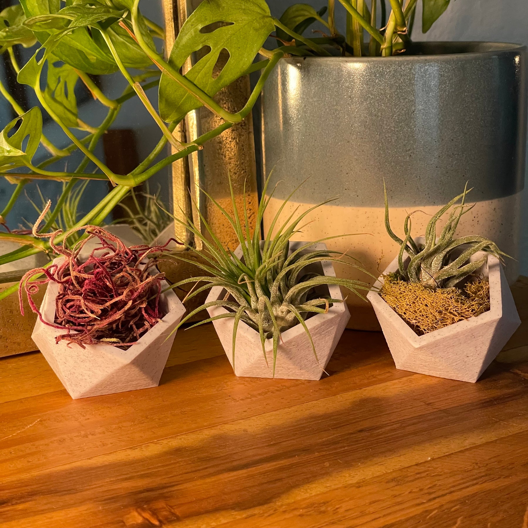 Icosahedron Planter Set