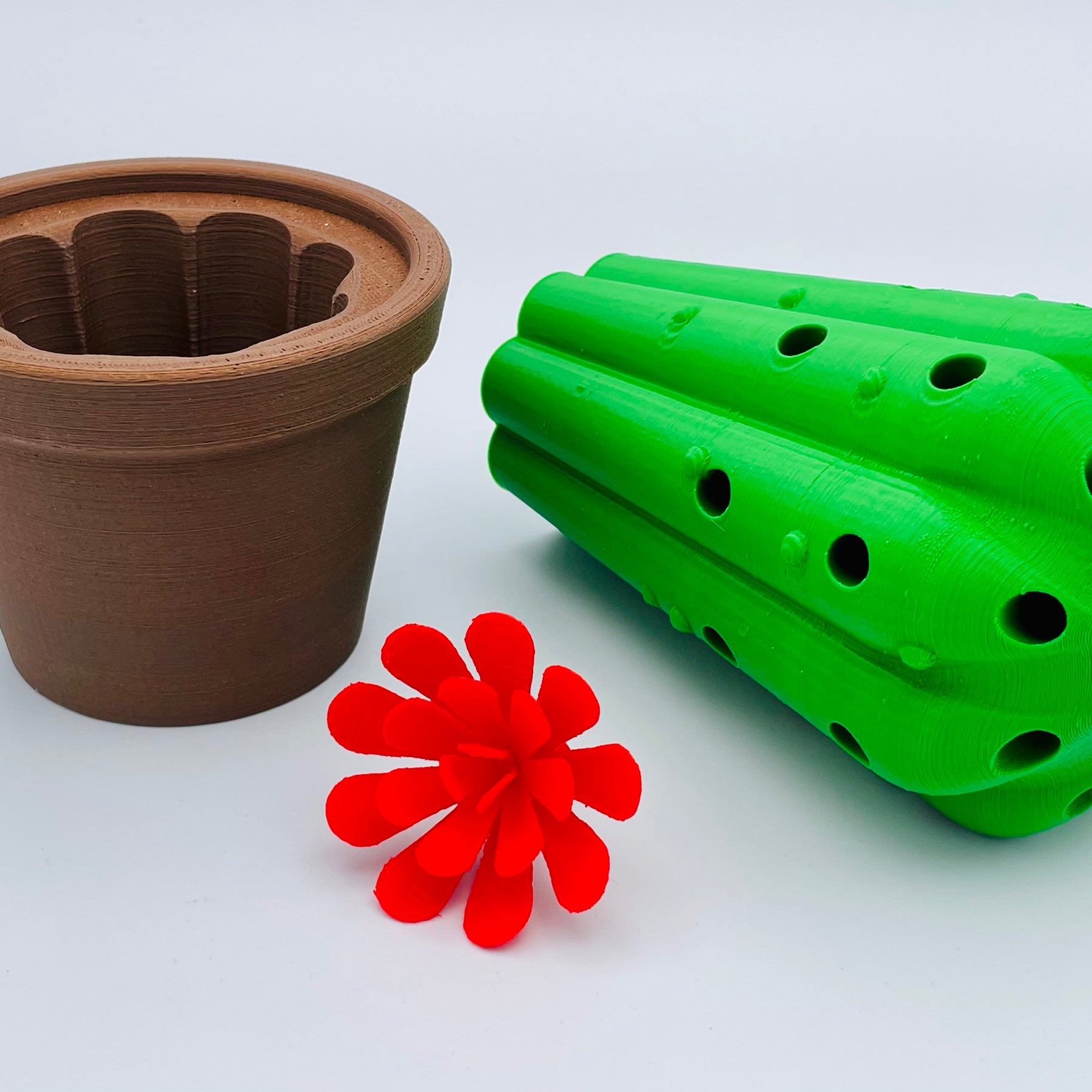 Pencil Box Cactus