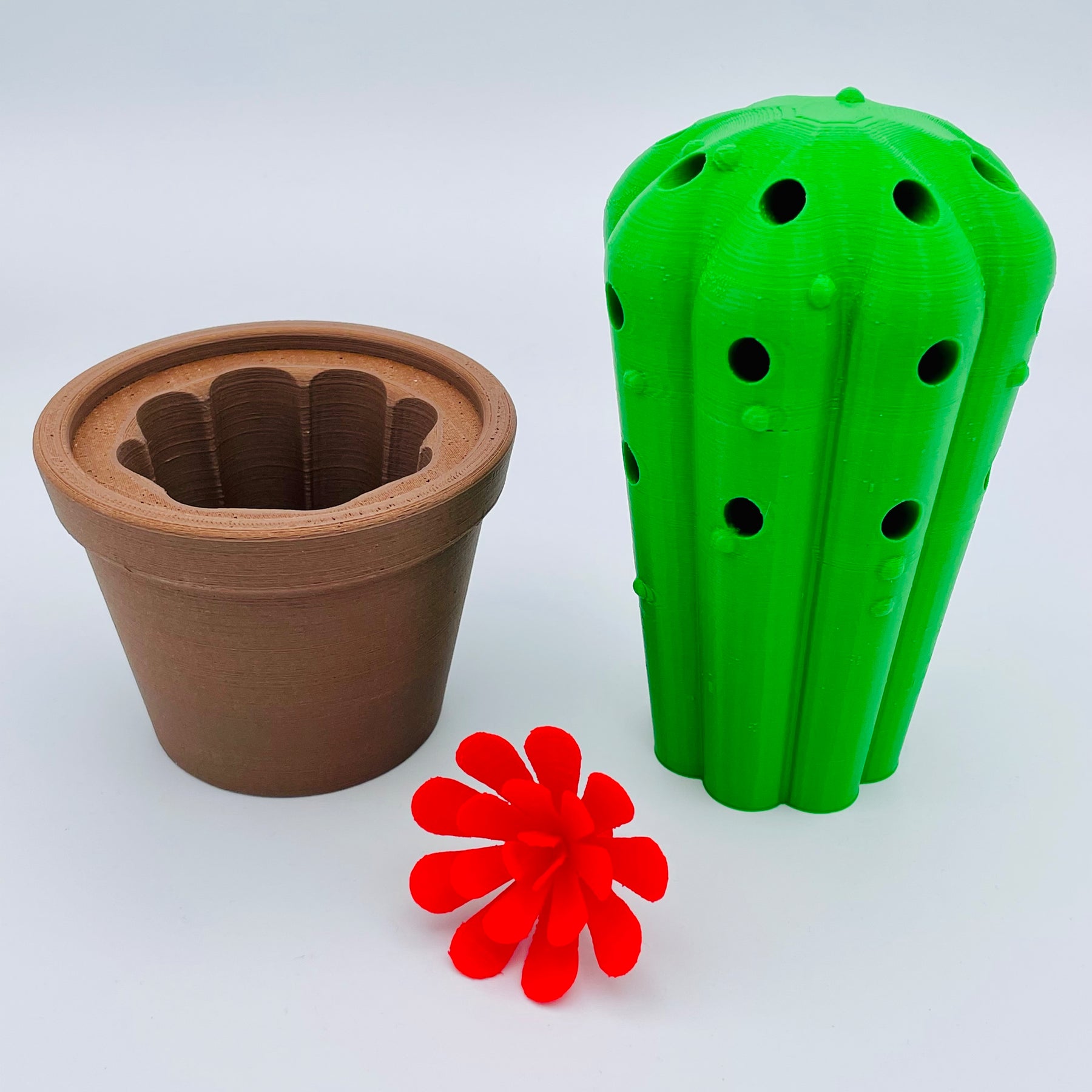 Pencil Box Cactus