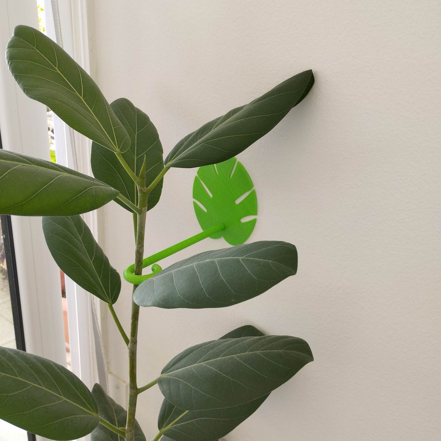 Plant Holder