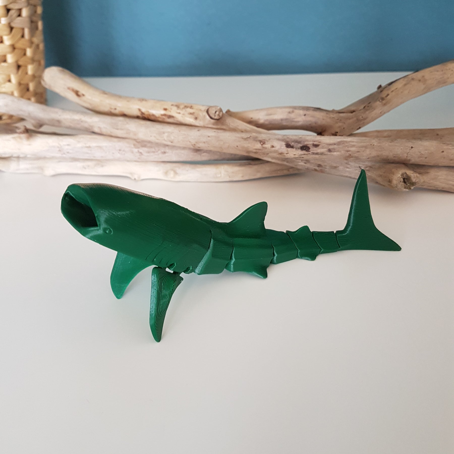 Whale Shark