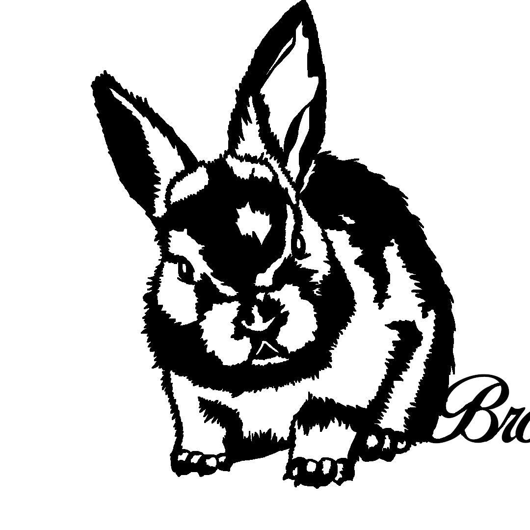 Custom Rabbit Silhouette
