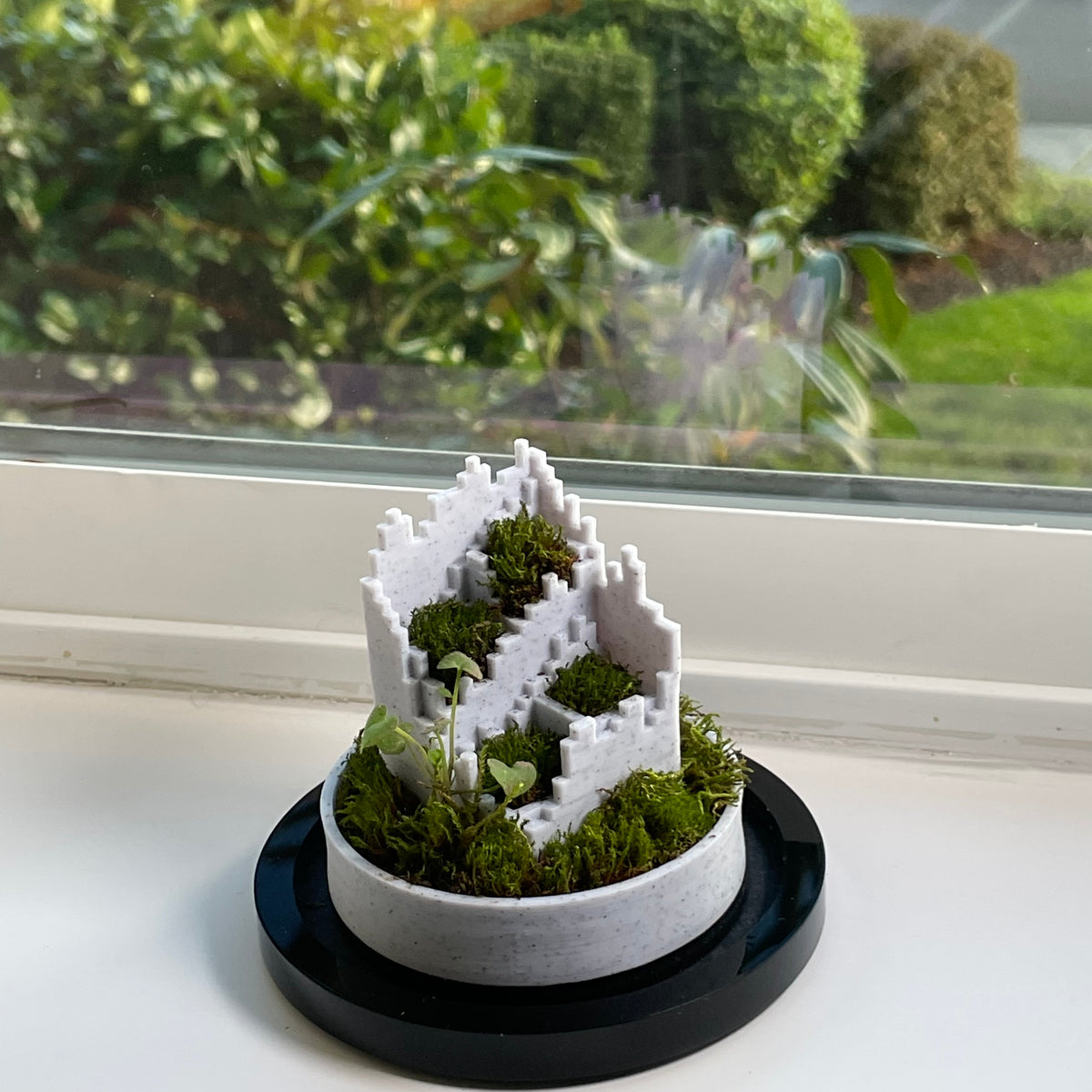 Pixel Terrarium