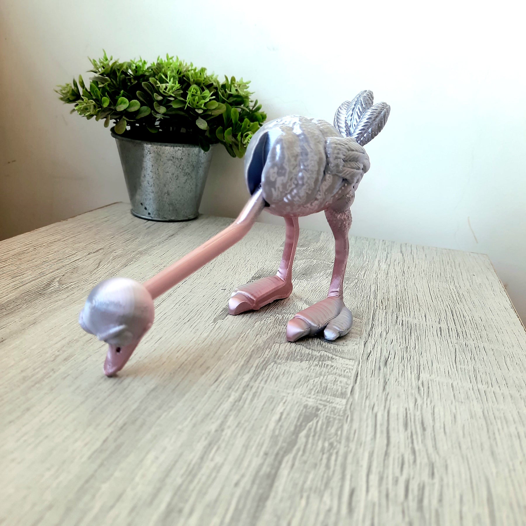 Ostrich