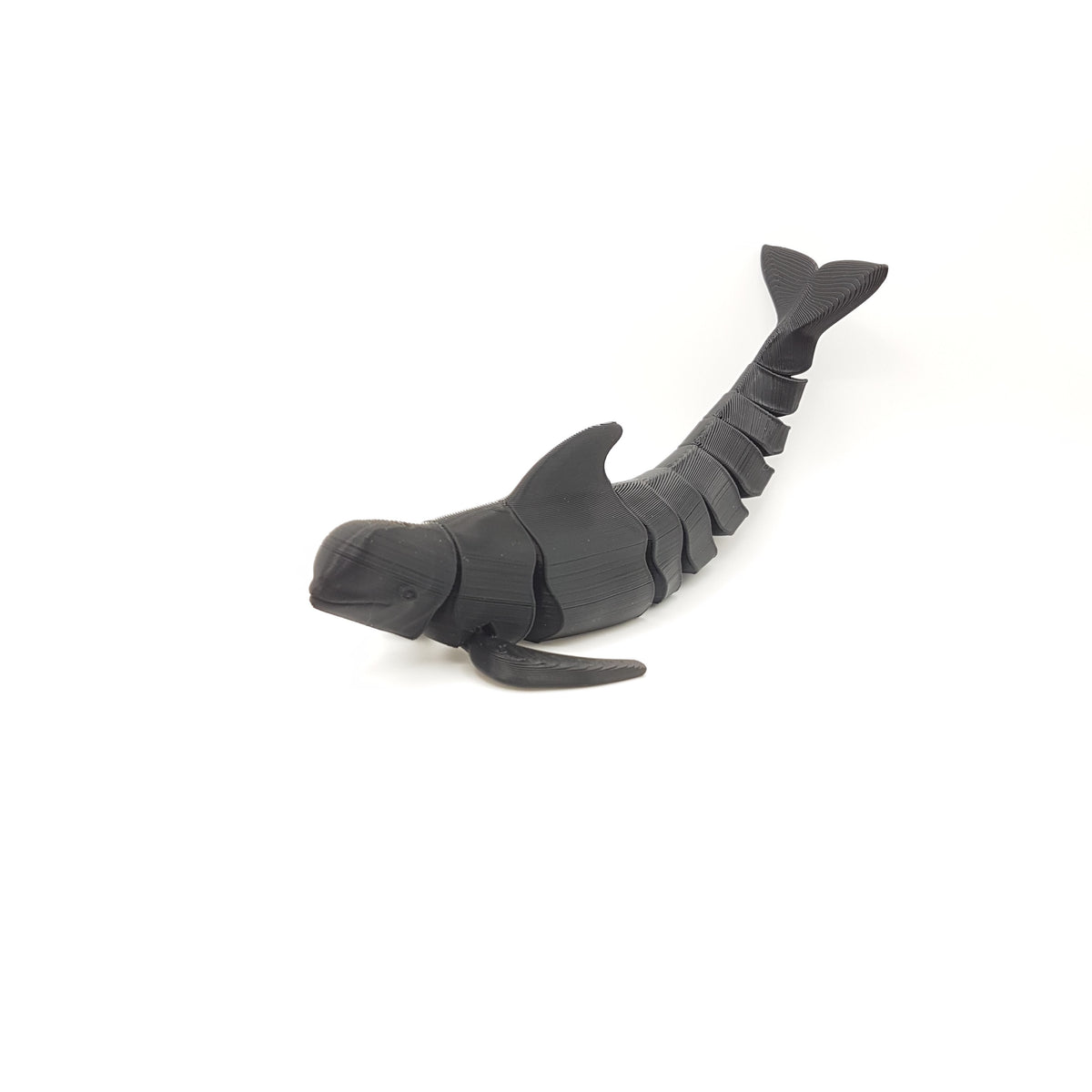 Pilot Whale