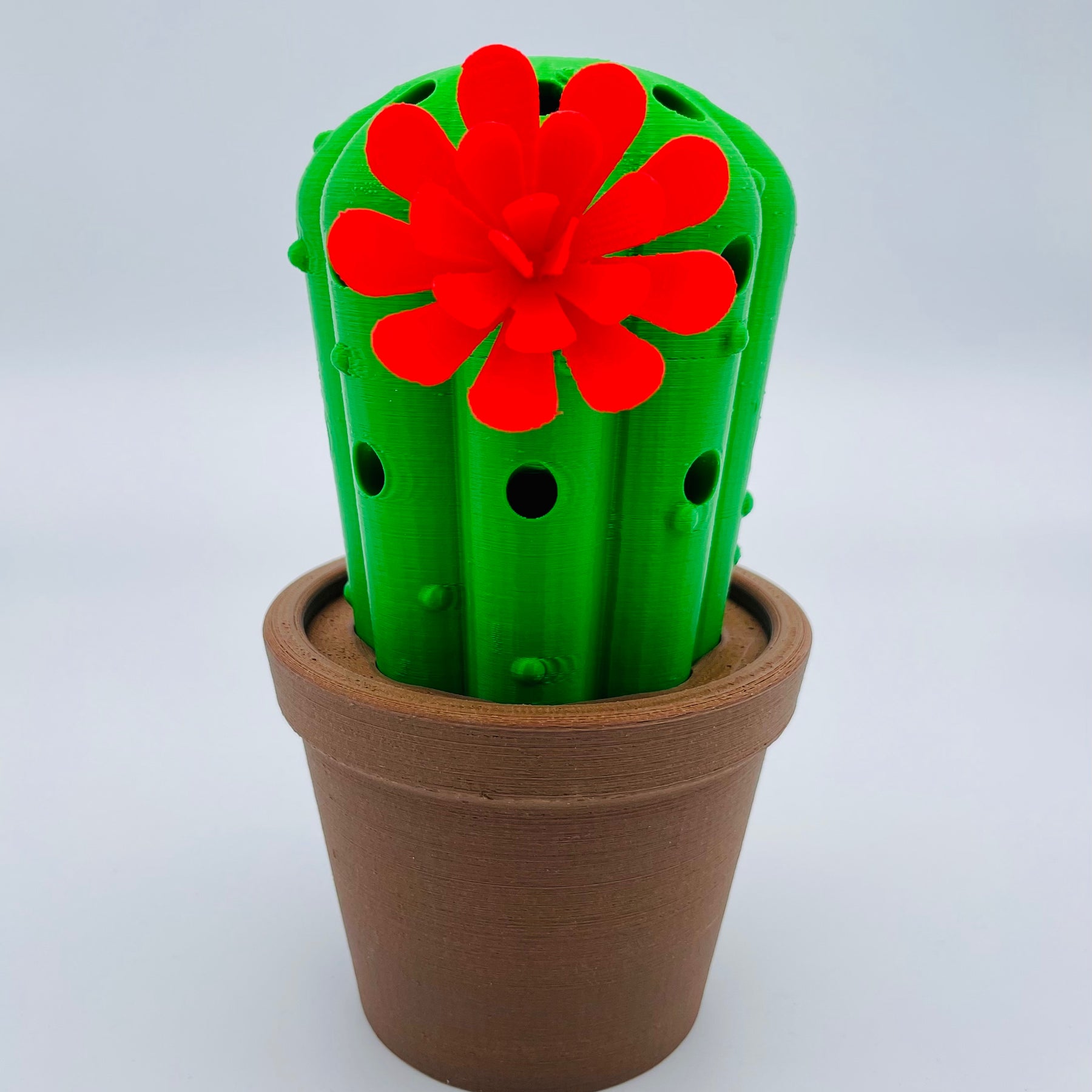 Pencil Box Cactus