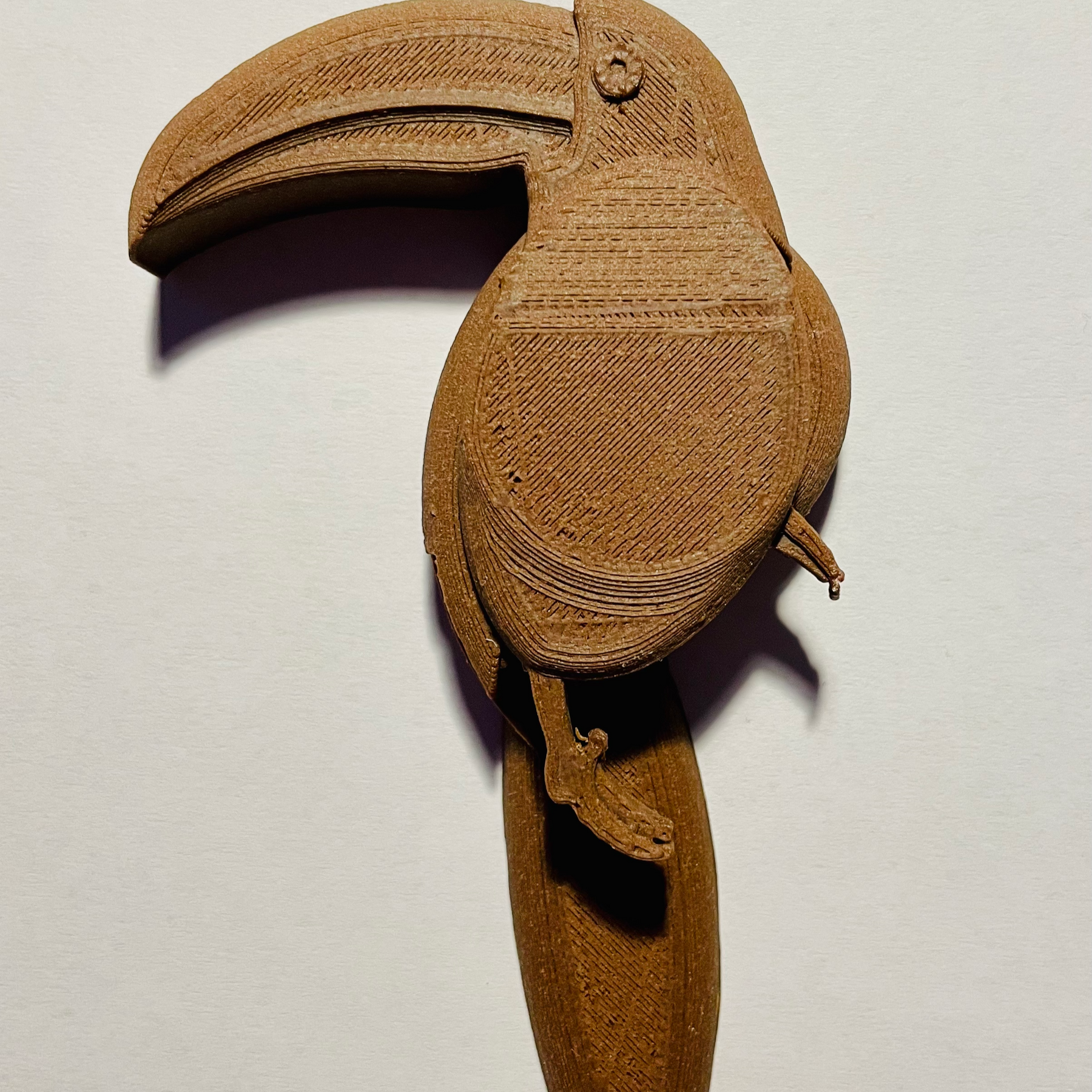 Toucan Camera Cover