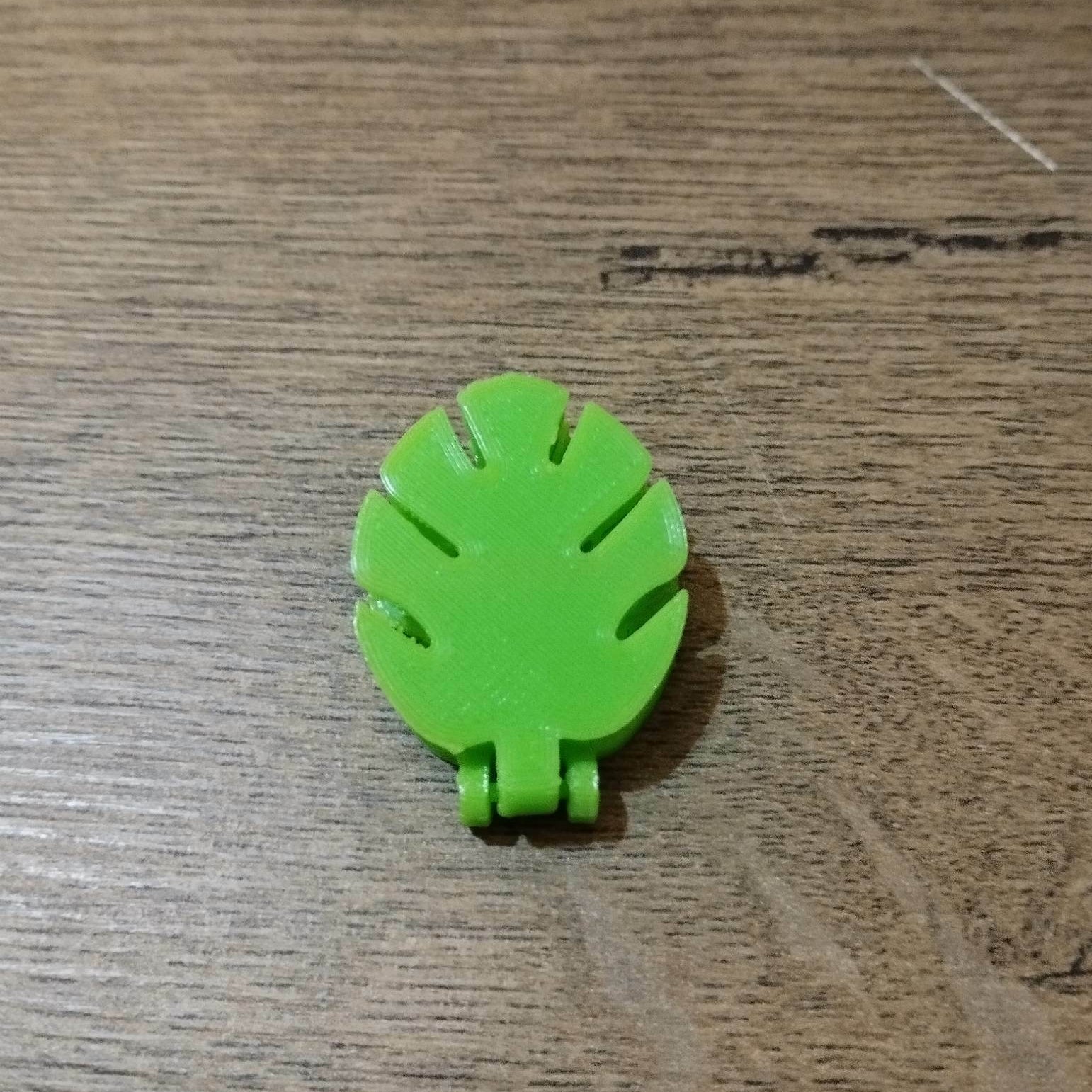 Wall Plant Holder - Pack of 8