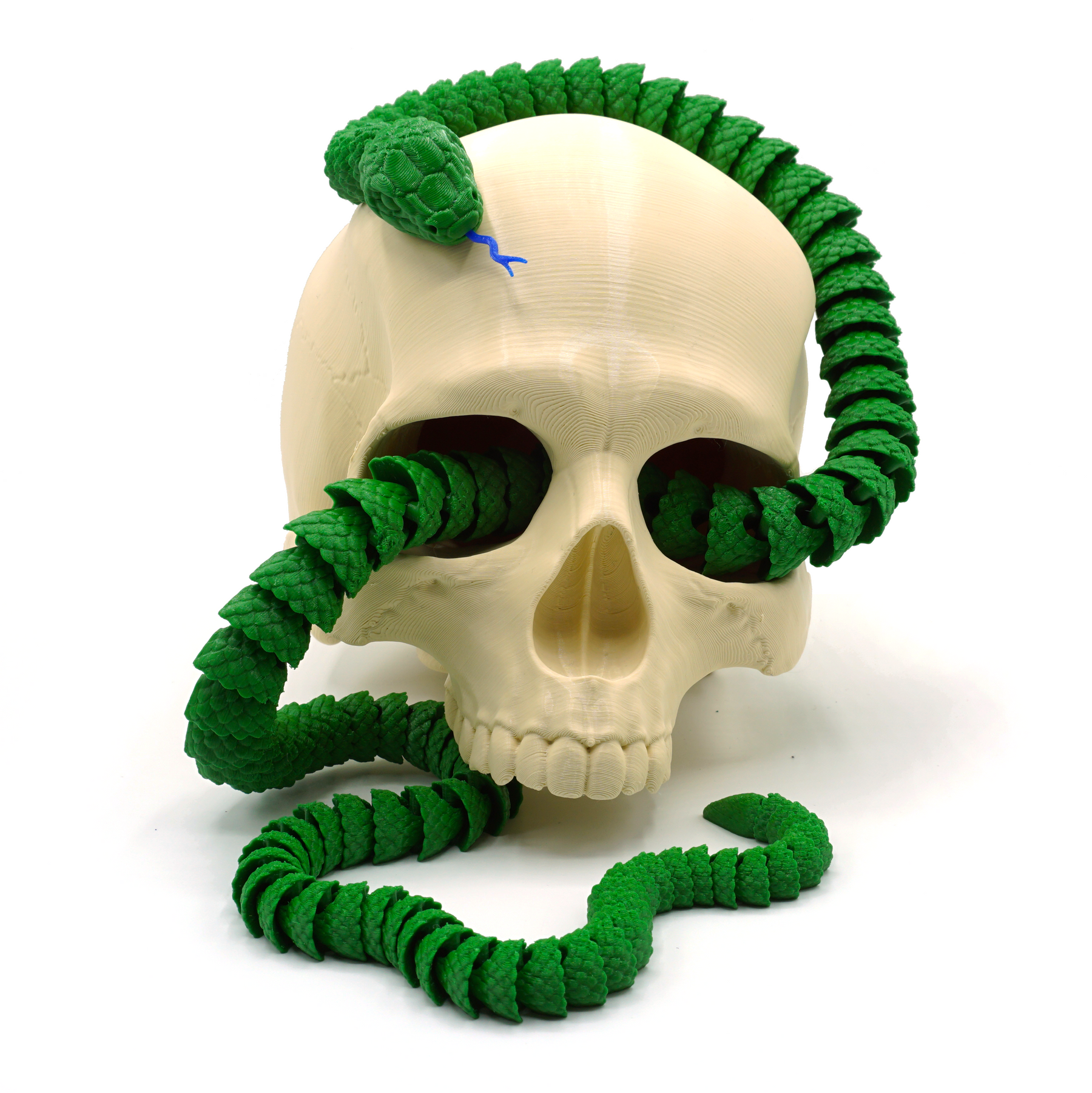 Articulated Snake