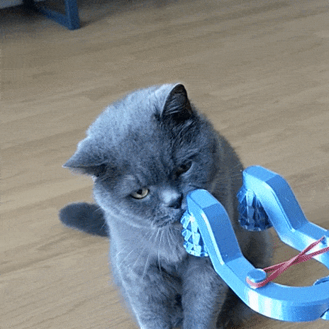 Cat Massage Roller