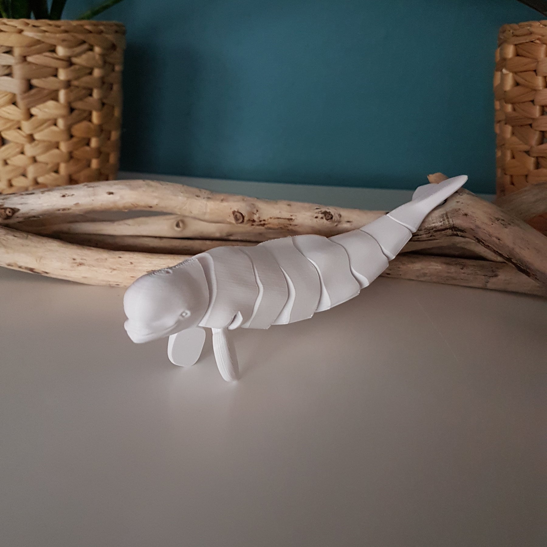 Beluga