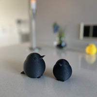 Little Birdies