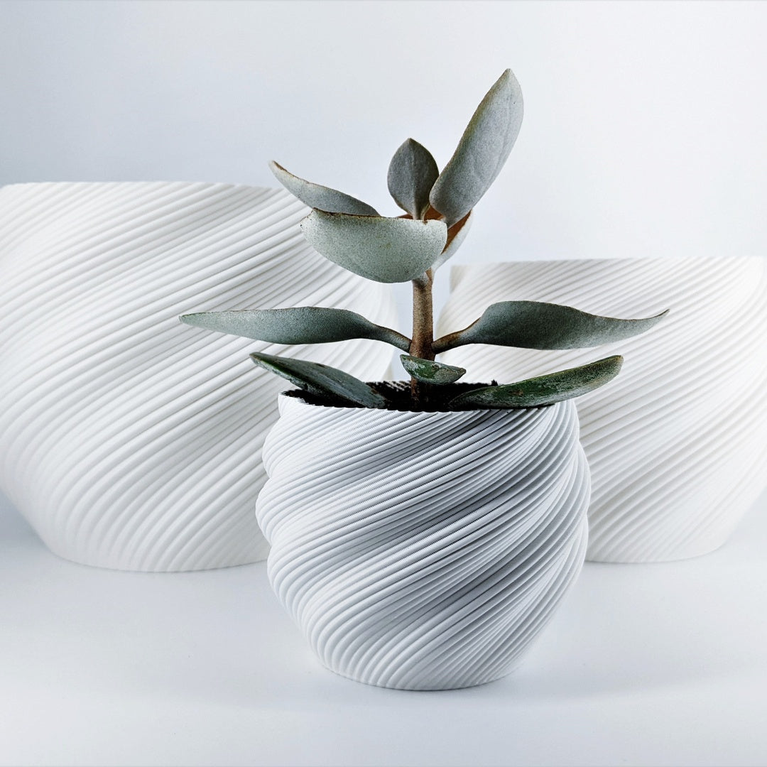 Flower Pot Diluvian, Planter for Succulents
