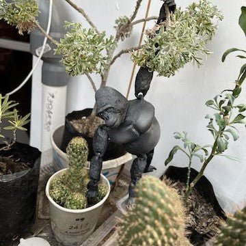 Flexi Gorilla