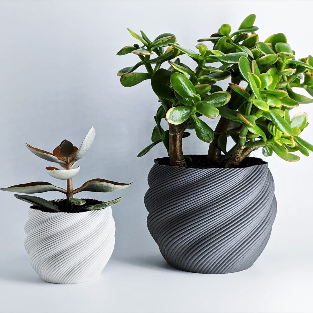 Flower Pot Diluvian, Planter for Succulents