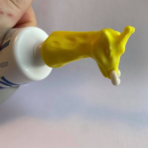 Giraffe Toothpaste Topper
