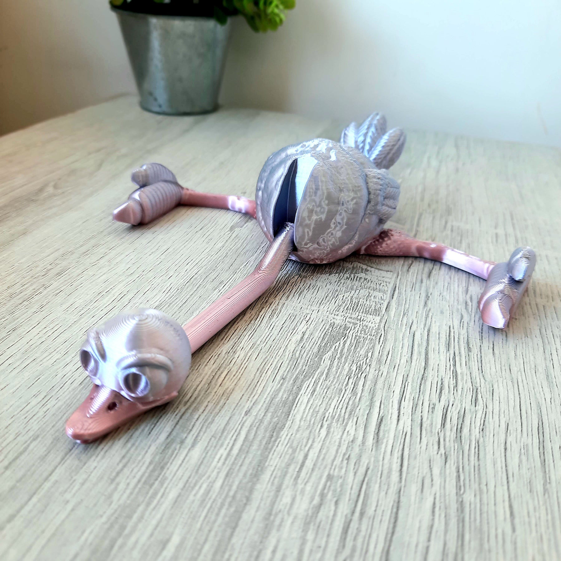 Ostrich