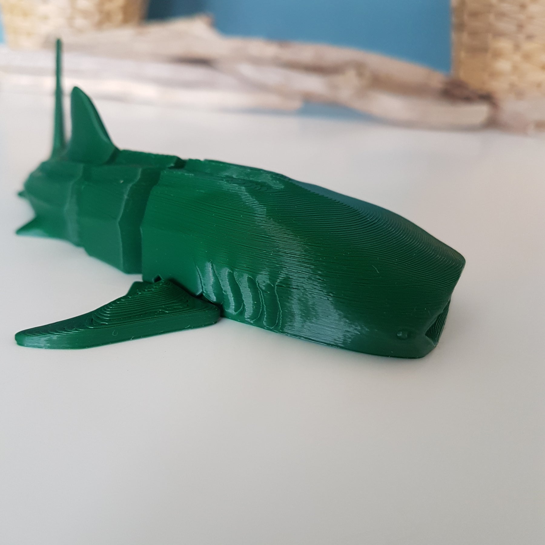 Whale Shark